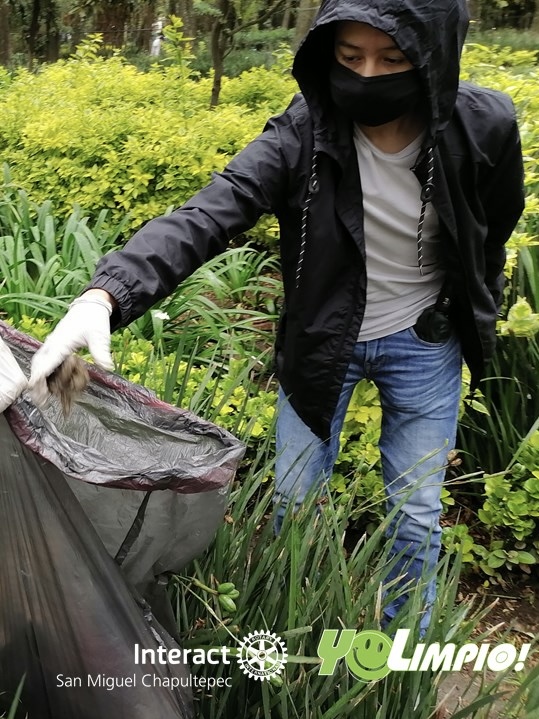 rotary-international